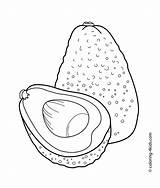 Coloring Avocado Pages Printable Kids Fruit Fruits Avocados Vegetable Colouring Sheets Vegetables Book Summer Preschool Adult Popular Visit Choose Board sketch template