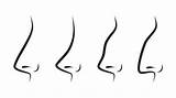 Hidung Bentuk Kartun Manusia Suara Kepribadian Lewat Hitam Jenis Uzone Mengintip sketch template