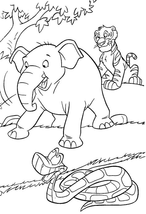 jungle coloring pages  coloring pages  kids animal coloring