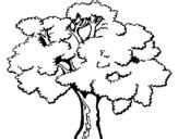 forest coloring pages coloringcrewcom