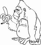 Orangutanes Compartan Motivo Pretende Niñas Disfrute sketch template