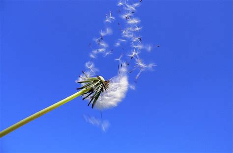Una brezza fresca mi ha scosso i capelli in quel . Sognare il Vento cosa vuol dire? Significato e Numeri da giocare