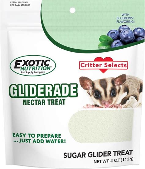 healthy sugar glider treats    buy  petsvills