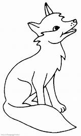Fuchs Malvorlage Malvorlagen Raposa Howling Bulkcolor Tod Colornimbus sketch template