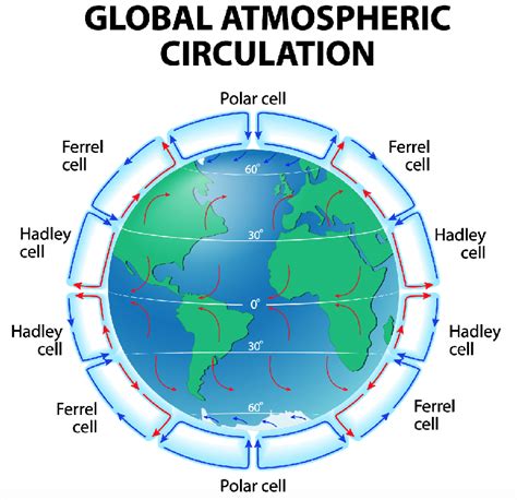 circulation cells   atmosphere  modern earth hadley  scientific diagram