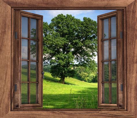 ikkuna naekymae puu ilmainen valokuva pixabayssa
