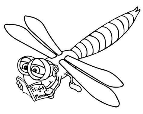 dragonfly coloring page coloring pages