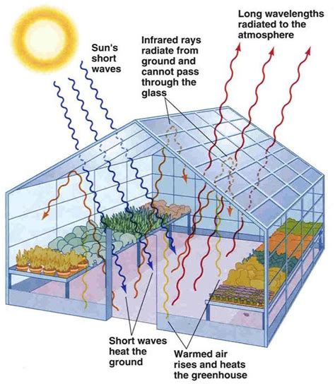 earthly issues greenhouse plans home greenhouse greenhouse effect