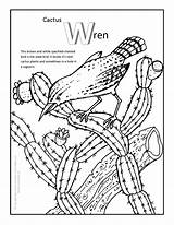 Cactus Wren Coloring Pdf Print sketch template