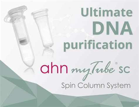 spin columns  dna purification overview    optimal columns