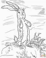 Velveteen Rabbit sketch template