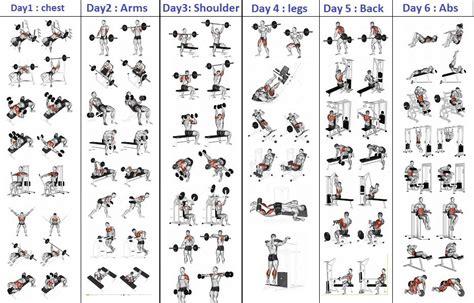 Top 5 Day Workout Routine For Man 5 Day Workout Routine