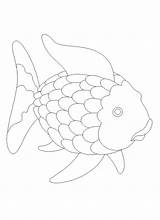 Regenbogenfisch Wanda Ausmalbild Slippery Coloring4free Visit Fische ähnliche sketch template