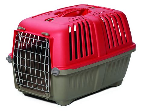 spree hard sided pet carrier dog carrier ideal  xs dog breeds