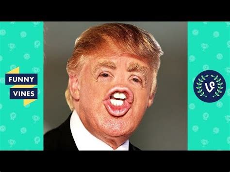 donald trump funny pictures