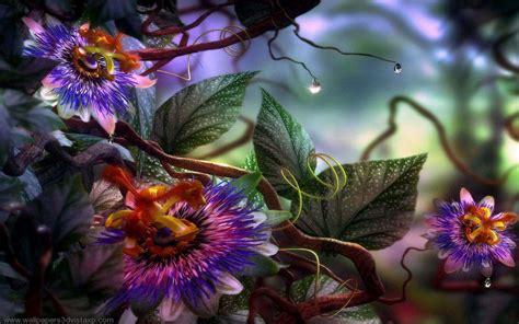 Passion Fruit Flower Wallpapers Wallpaper Cave