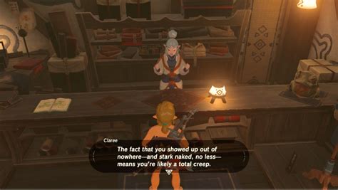 characters react to a naked link in zelda breath of the