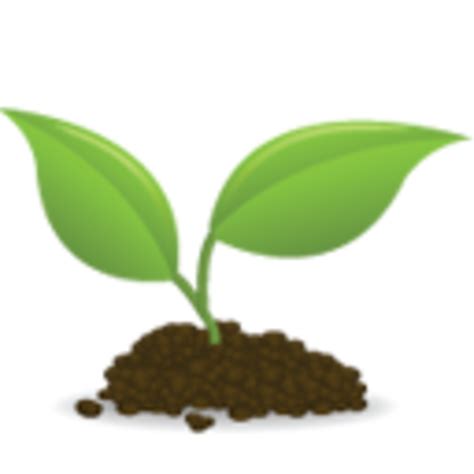 seed growing clipart clipart suggest