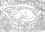 Cat Sleepy Favoreads Coloring sketch template