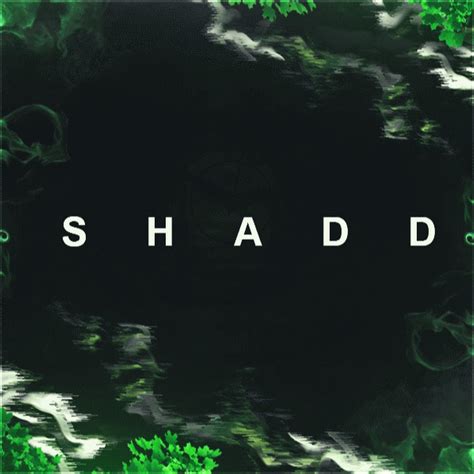 shadd youtube