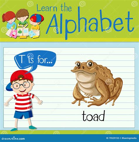 flashcard alphabet    toad stock vector illustration  school