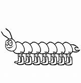 Centipede Coloring Pages Animals Insect Enjoy Millipede Summer Caterpillar Cute Legs Lot Kids 67kb 565px sketch template