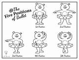 Positions Bears Rheegold sketch template