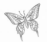 Butterfly Kupu Mewarnai Sketsa Bunga Cantik Papillon Paud Kolase Tattoo Alamendah Diwarnai Hewan Coloriages sketch template