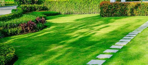 Lawn Services In Oberlin Oh Country Lawn Care