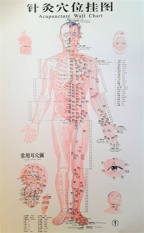 head acupuncture points chart