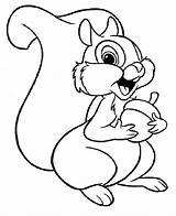 Squirrel Coloring Pages Kids Printable Print Drawing sketch template