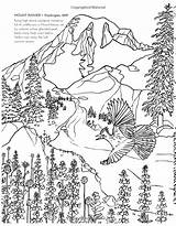 Coloring National Pages Yellowstone Parks Park Color Sheets Books Colouring Book Amazon Ca Getdrawings Rainier Pyrography Chill Woodburning Mount sketch template