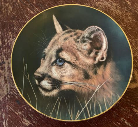 cougar cub plate by princeton gallery cubs of the big cats plate
