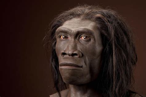 homo sapiens direct ancestors migrated   africa  million years