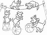 Coloring Dogs Circus Pages Animals Print Circo Para Kids sketch template