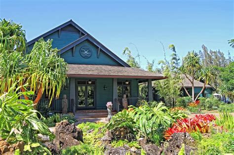 lumeria maui wellness center  retreats maui hawaii wellness spa