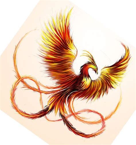 pin  lori toupin  phoenix phoenix bird tattoos phoenix tattoo