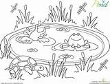 Worksheet Animal Frogs Preschoolers Ranas Colorir Estanques Estanque Search Habitats Leerlo Sapo Lagoa étang Coloriage sketch template