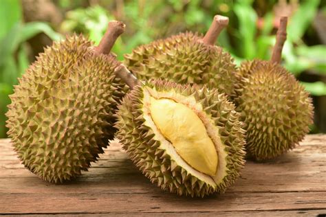 durian  beneficios tiene comer la fruta mas apestosa del mundo