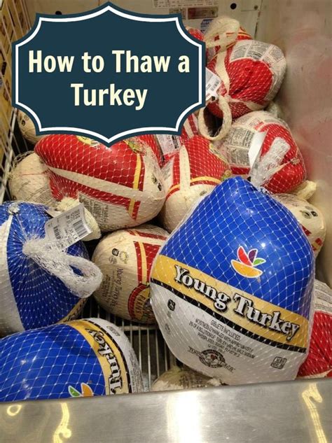 how to thaw a turkey cooking the perfect turkey
