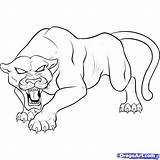 Panther Drawing Coloring Pages Animal Spiderman Kids Panthers Drawings Head Pantera Outline Draw Print Jaguar Baby Logo Face Negra Easy sketch template