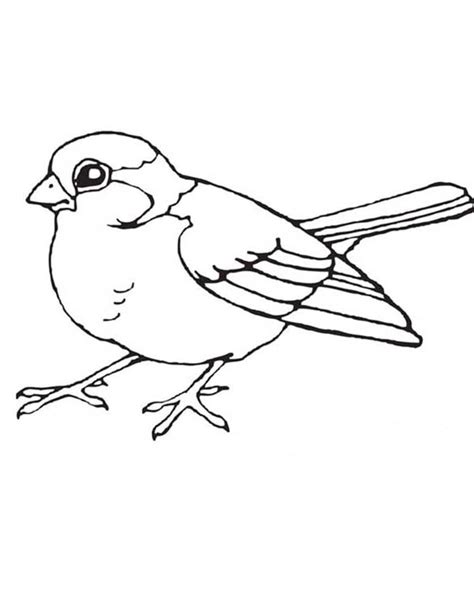 printable bird coloring pages coloringmecom