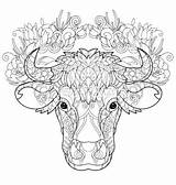 Cow Head Drawn Hand Doodle Outline Vector Vectorstock Auswählen Pinnwand Kühe Kuh sketch template