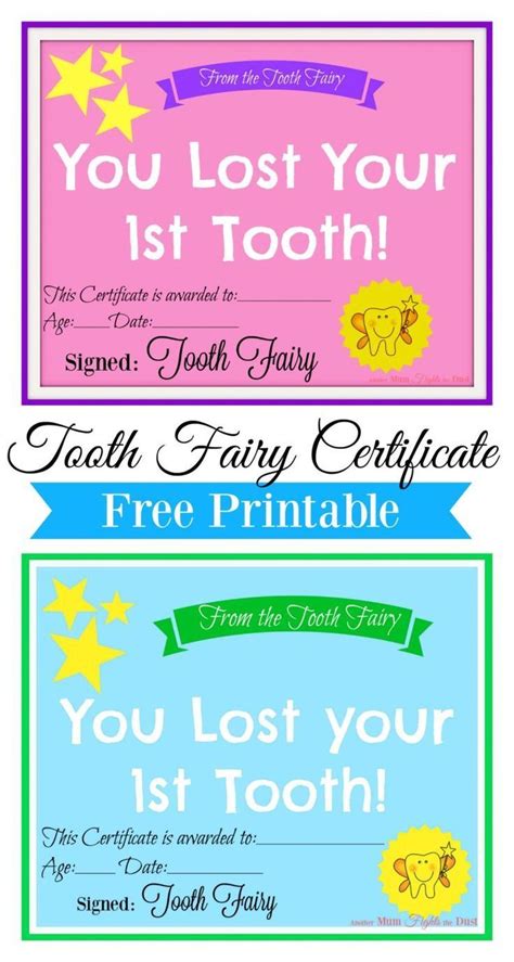 printable tooth fairy certificate tooth fairy certificate