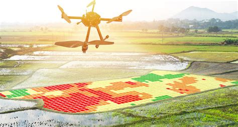 drone based remote sensing  machine learning technologies  enhanced crop health monitoring