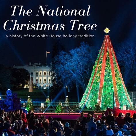 national christmas tree   white house holidappy