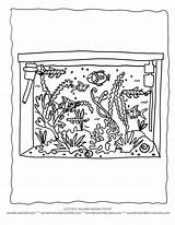 Coloring Pages Tank Aquarium Fish Whith Fishes Cat Popular Coloringhome sketch template