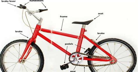 parts   bicycle   functions eslbuzz