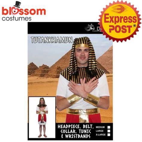 King Of The Nile Pharaoh Egyptian Tut Egypt Ruler Ancient Dress Up Mens