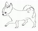 Chihuahua sketch template